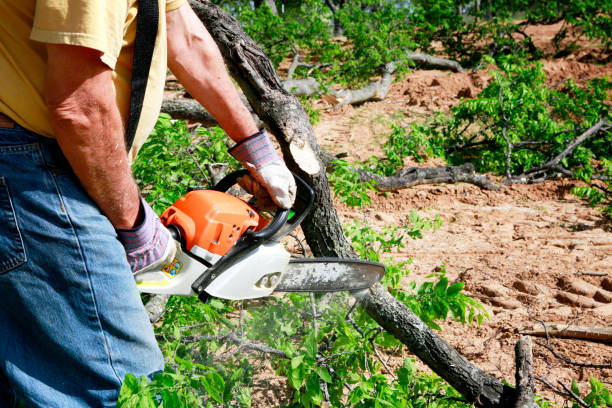 Best Soil Testing and Treatment  in Arden On The Severn, MD
